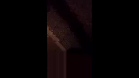 Snapshot of anniebunni chatting on 16, 2, 2026 anniebunni online show from 16, 2, 2026