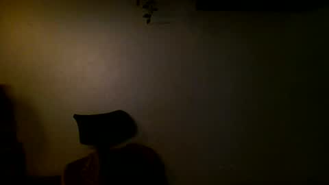 Snapshot of anthonym3 chatting on 11, 12, 2024 Ant online show from 11, 12, 2024