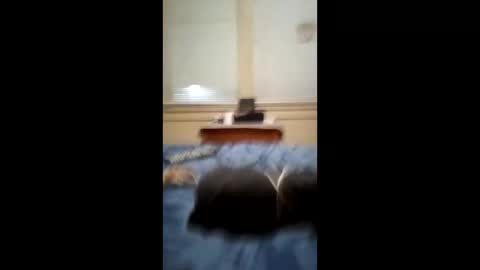 anthonymichael691973668762 online show from 3, 3, 2026