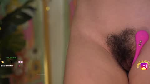 Nell. online show from 16, 12, 2024