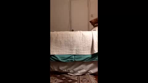 Snapshot of antonino85 chatting on 19, 3, 2026 antonino85 online show from 19, 3, 2026