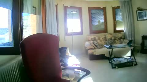 Antonio online show from 13, 1, 2025