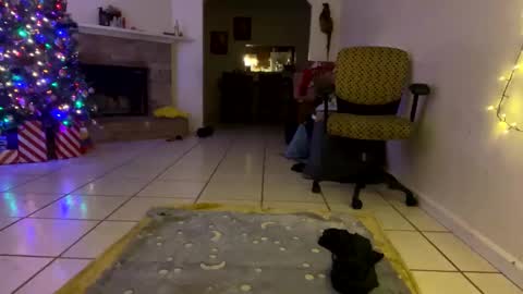 AnnaApril420 online show from 25, 12, 2024