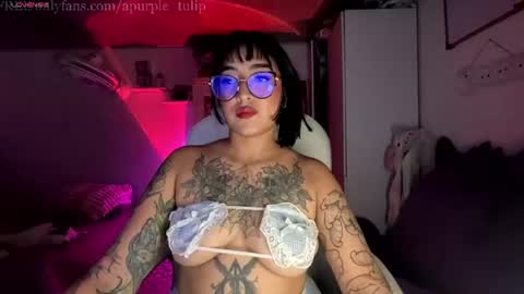      online show from 8, 7, 2026