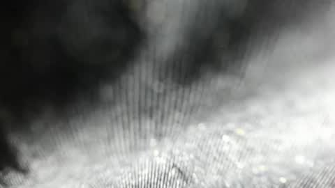 Snapshot of arantza_hill chatting on 17, 6, 2026 Arantza Hill online show from 17, 6, 2026