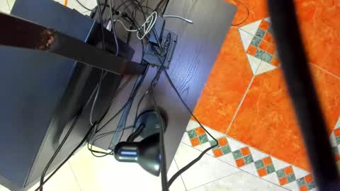  ARI  online show from 29, 11, 2025