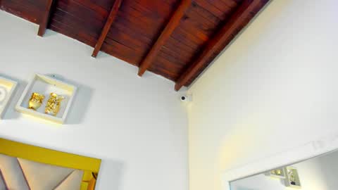  ARI  online show from 2, 12, 2025