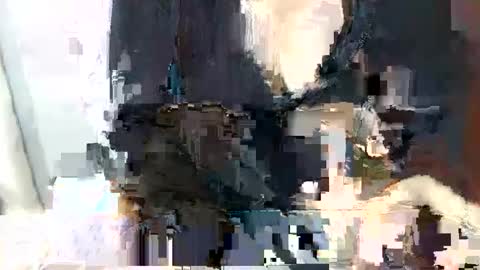 ariannysex_ online show from 14, 1, 2025