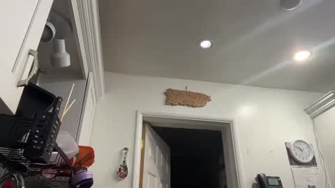 Snapshot of ariawestlove chatting on 8, 1, 2025 Aria online show from 8, 1, 2025