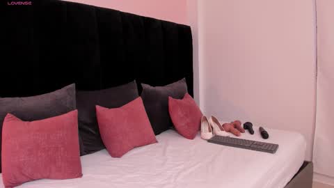 Snapshot of ariel_jonnes chatting on 26, 11, 2025 Ariel online show from 26, 11, 2025