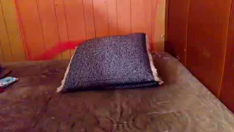 ariellejade06 online show from 19, 2, 2026