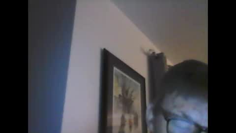 ariens online show from 14, 1, 2025