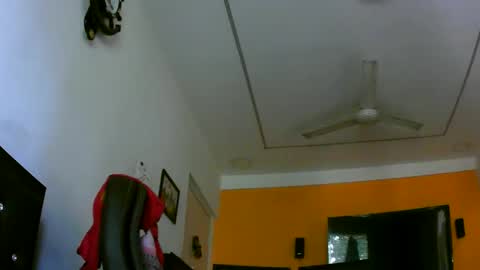 arnold_forfun online show from 10, 4, 2026