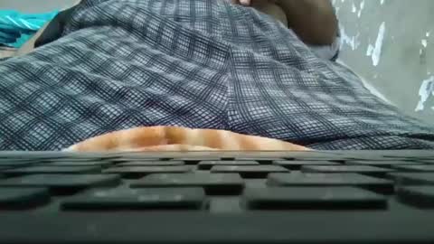 Snapshot of art_max99xxx chatting on 11, 1, 2025 art_max99xxx online show from 11, 1, 2025