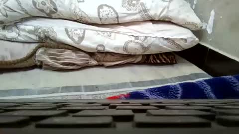 art_max99xxx online show from 16, 1, 2025