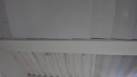 FENIX online show from 4, 11, 2025