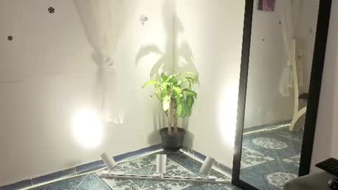 Snapshot of artmaria chatting on 3, 8, 2026 Maria online show from 3, 8, 2026