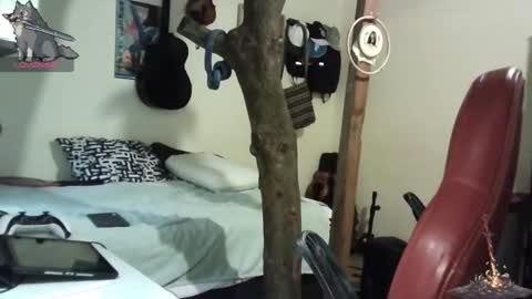 Snapshot of artorias_4 chatting on 28, 1, 2025 artorias 4 online show from 28, 1, 2025