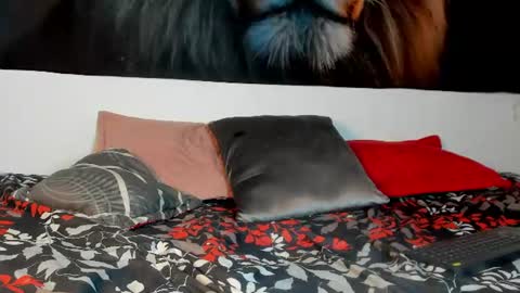 Snapshot of ashley_girl_queen chatting on 24, 6, 2026 ashley_girl_queen online show from 24, 6, 2026