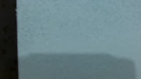 Snapshot of ashley_prg2 chatting on 6, 3, 2026 Ashley online show from 6, 3, 2026