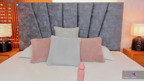 Snapshot of ashley_smith_x chatting on 17, 1, 2025 Sara Smith online show from 17, 1, 2025