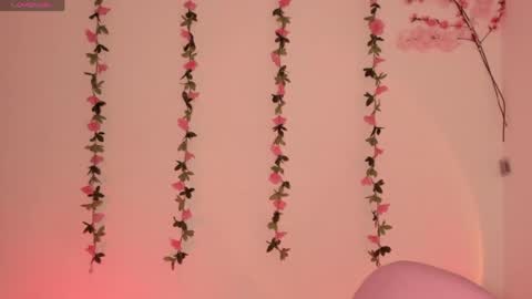 Snapshot of ashleyroys_111 chatting on 5, 5, 2026 dahiana online show from 5, 5, 2026