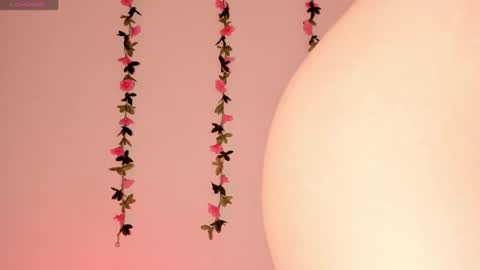 Snapshot of ashleyroys_111 chatting on 6, 5, 2026 dahiana online show from 6, 5, 2026