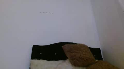 Snapshot of ashleyt1998 chatting on 5, 4, 2026 ASHLEY online show from 5, 4, 2026