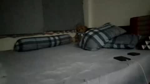 asianthai online show from 21, 9, 2025