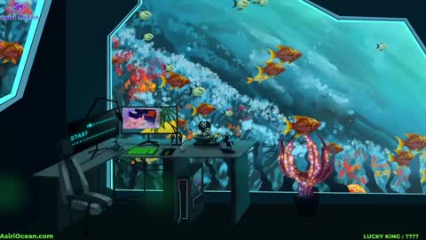 Asiri   pronounced Ah-siri Please no nicknames   3 online show from 5, 3, 2026