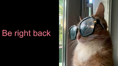 Snapshot of astra_lis chatting on 17, 2, 2025 Astra online show from 17, 2, 2025