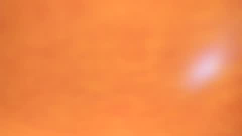 aurelio_pryce online show from 31, 7, 2026