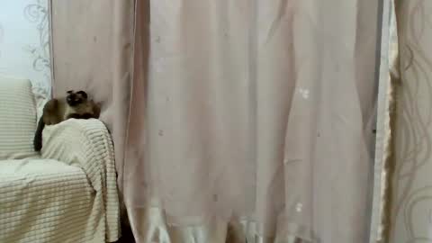 Kiara Xanthe online show from 25, 2, 2026