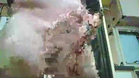 huge mature cock online show from 2, 3, 2026