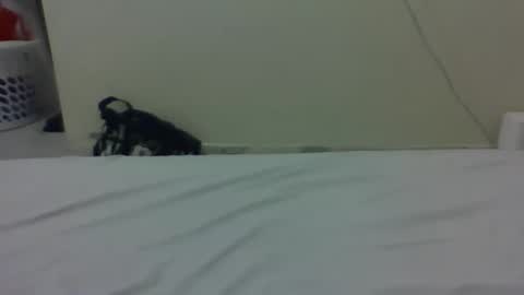 Snapshot of baby_lucky35865 chatting on 27, 3, 2026 needoh online show from 27, 3, 2026