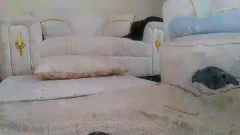 baby_smiler online show from 24, 5, 2026