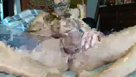 Snapshot of babyblue_1973 chatting on 16, 12, 2024 Poindexxxter online show from 16, 12, 2024