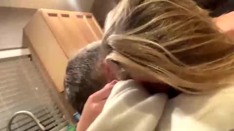 baby blues online show from 10, 1, 2025