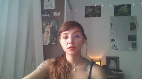 Snapshot of babydemon6 chatting on 23, 12, 2024 babydemon6 online show from 23, 12, 2024