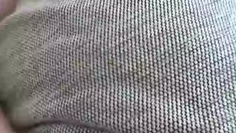 babydollxoxoxo123 online show from 7, 4, 2026