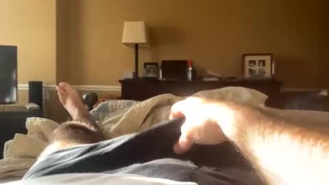 Backbay90 online show from 31, 12, 2024