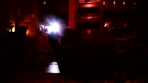 Badbitch520 online show from 25, 3, 2026