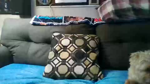 Snapshot of badcady0 chatting on 30, 9, 2025 badcady0 online show from 30, 9, 2025
