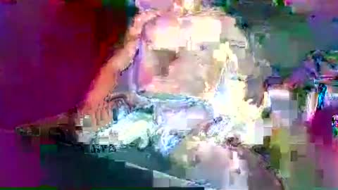 Mexican livin Off the Wall online show from 29, 1, 2025