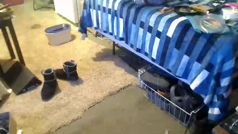 Snapshot of badnews68 chatting on 27, 12, 2024 StillPoPimpin online show from 27, 12, 2024