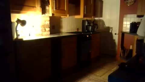 Ballet Bear online show from 2, 11, 2025