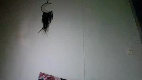 Snapshot of bamacpl80 chatting on 1, 4, 2026 bamacpl80 online show from 1, 4, 2026