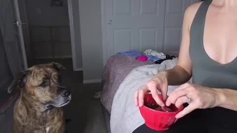 bambifarrina online show from 18, 1, 2026