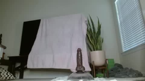 Snapshot of bambirachel1 chatting on 23, 6, 2026 bambirachel1 online show from 23, 6, 2026