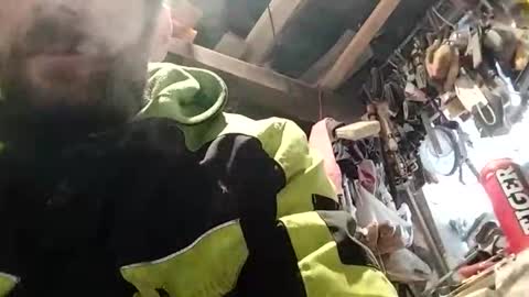 bananek online show from 11, 1, 2026